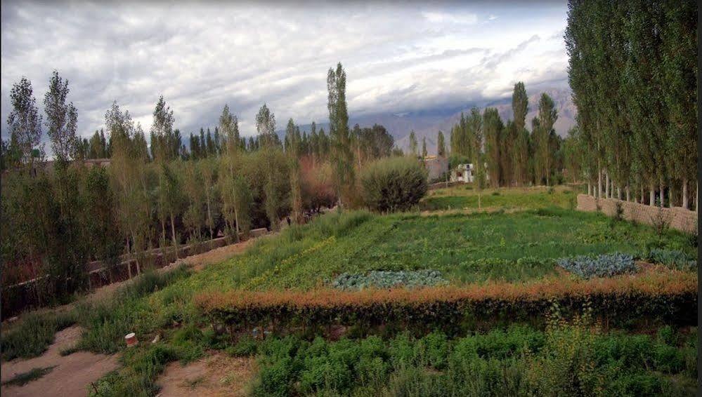 Hotel Ladakh Heaven Leh Exterior photo