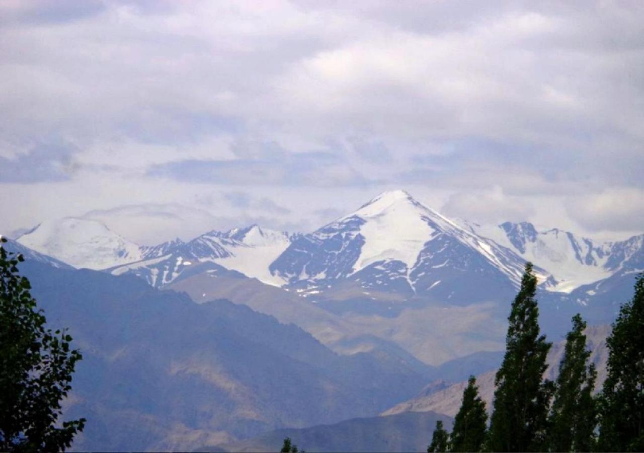 Hotel Ladakh Heaven Leh Exterior photo